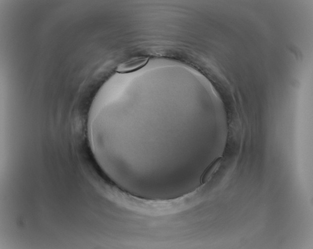 X0000113330031200910051155