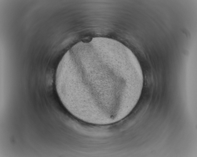 X0000113330032200910051155