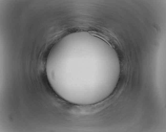 X0000113330033200910051155