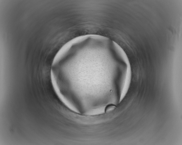 X0000113330034200910051155