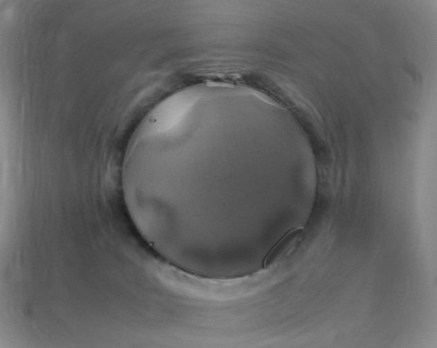 X0000113330035200910051155
