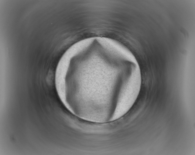 X0000113330036200910051155