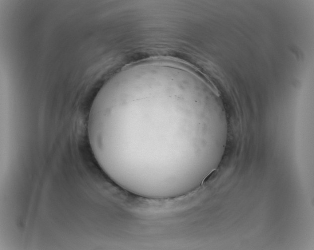 X0000113330037200910051155