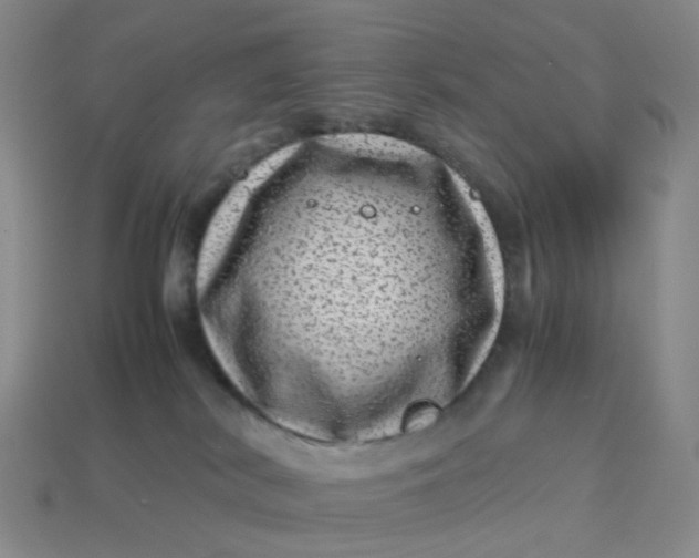 X0000113330038200910051155