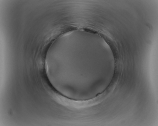 X0000113330039200910051155