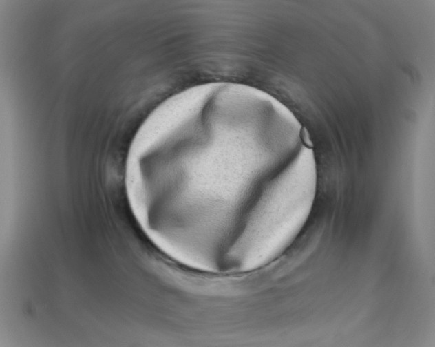 X0000113330040200910051155