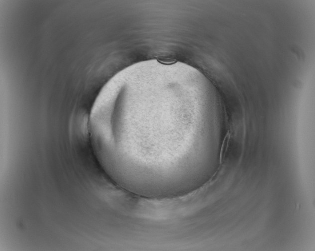 X0000113330041200910051155