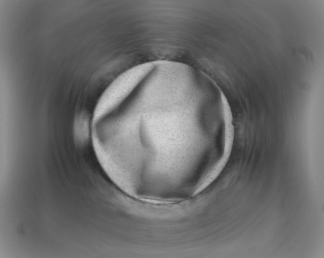 X0000113330042200910051155
