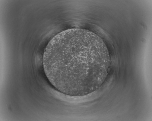 X0000113330043200910051155