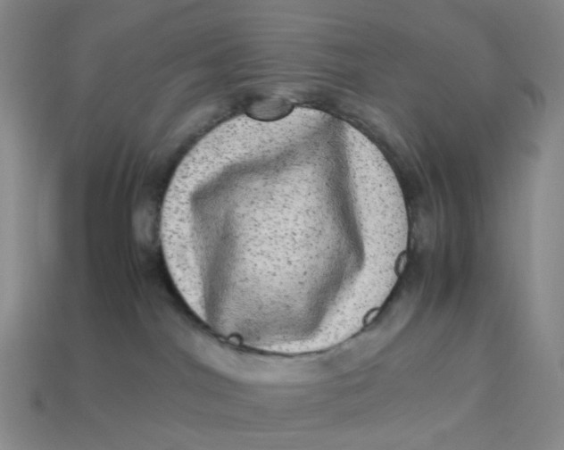 X0000113330044200910051155