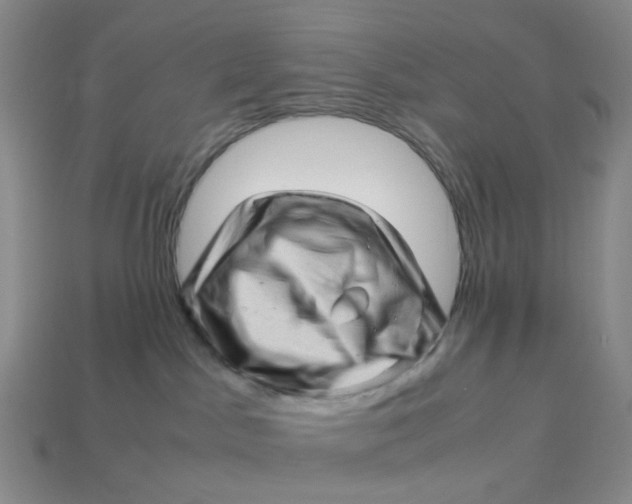 X0000113330045200910051155