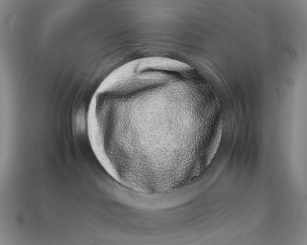 X0000113330046200910051155