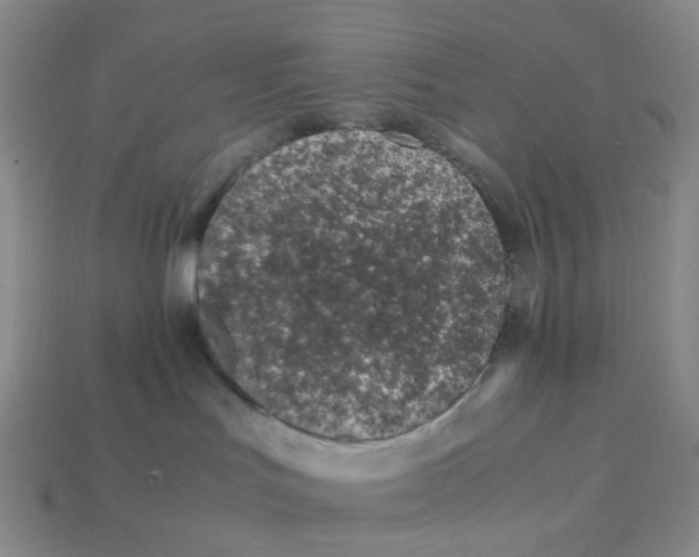 X0000113330047200910051155
