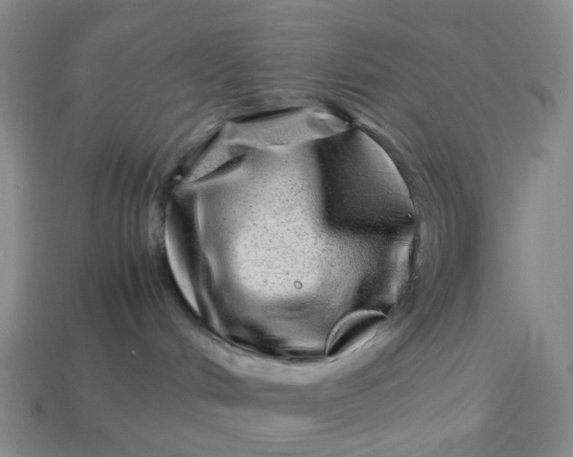X0000113330048200910051155