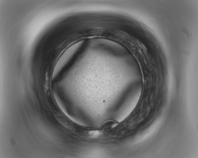 X0000113330050200910051154