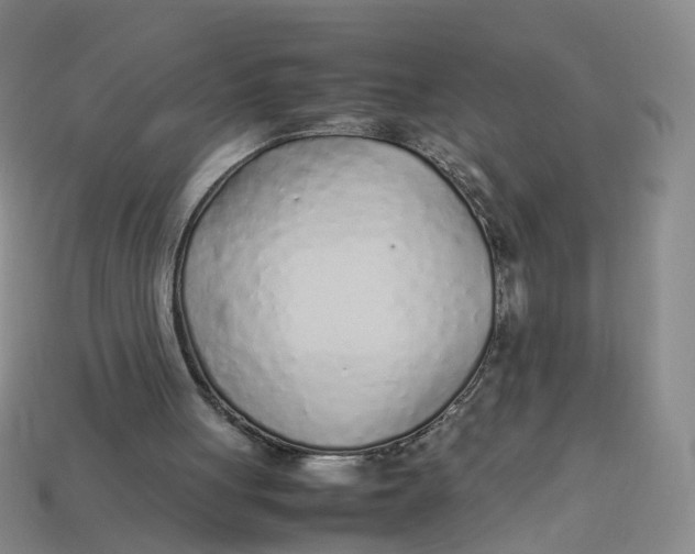X0000113330051200910051154
