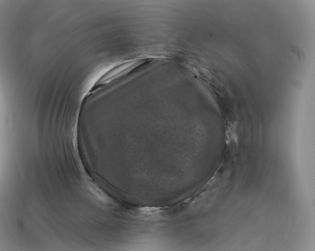 X0000113330052200910051154