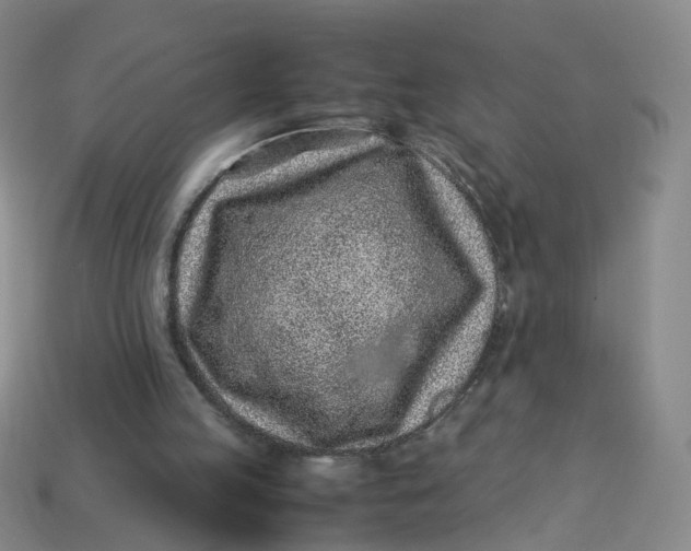X0000113330053200910051154
