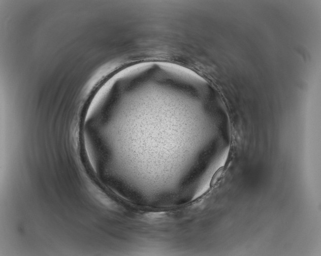 X0000113330054200910051154