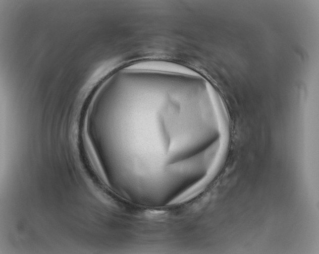 X0000113330055200910051154