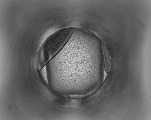 X0000113330056200910051154