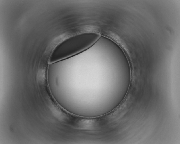 X0000113330057200910051154