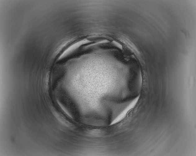 X0000113330058200910051154