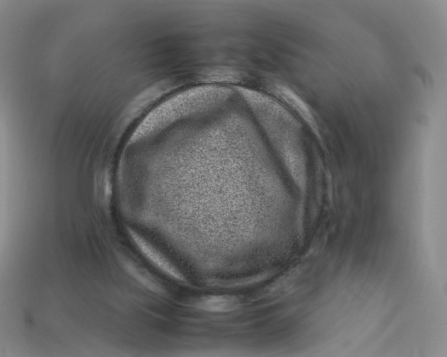 X0000113330059200910051154