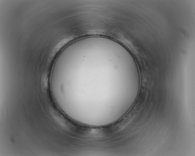 X0000113330060200910051154