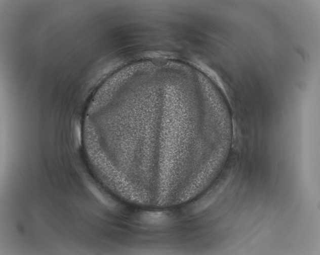 X0000113330061200910051154