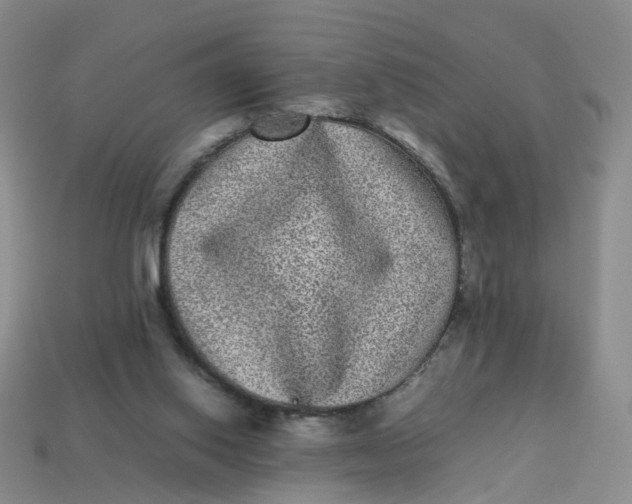 X0000113330062200910051154