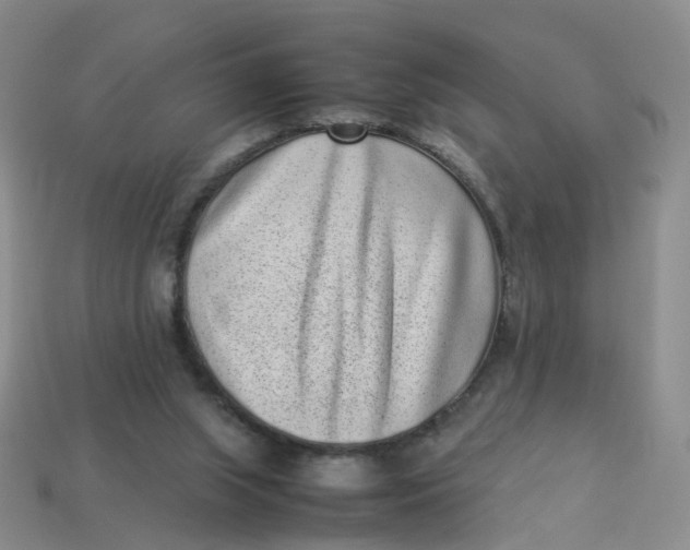 X0000113330063200910051154
