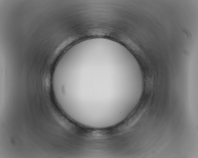 X0000113330064200910051154