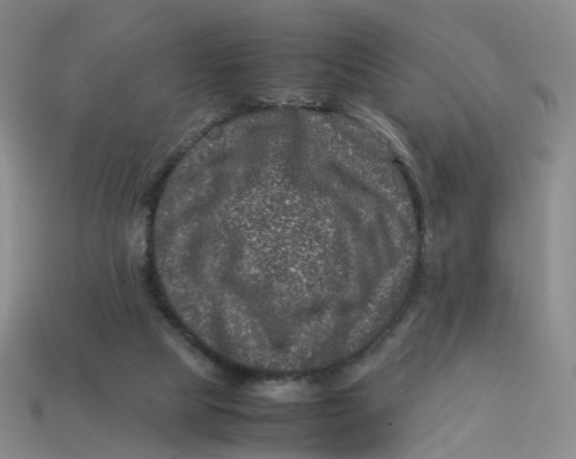 X0000113330065200910051155