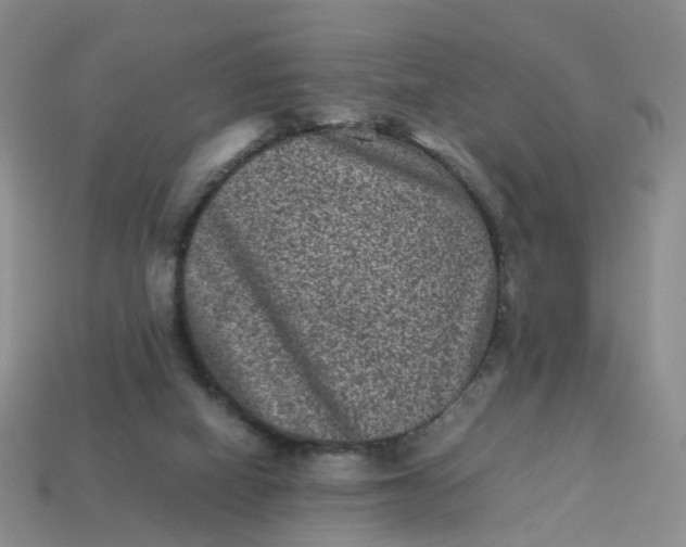 X0000113330066200910051155