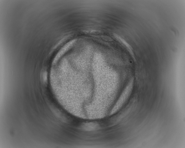 X0000113330067200910051155