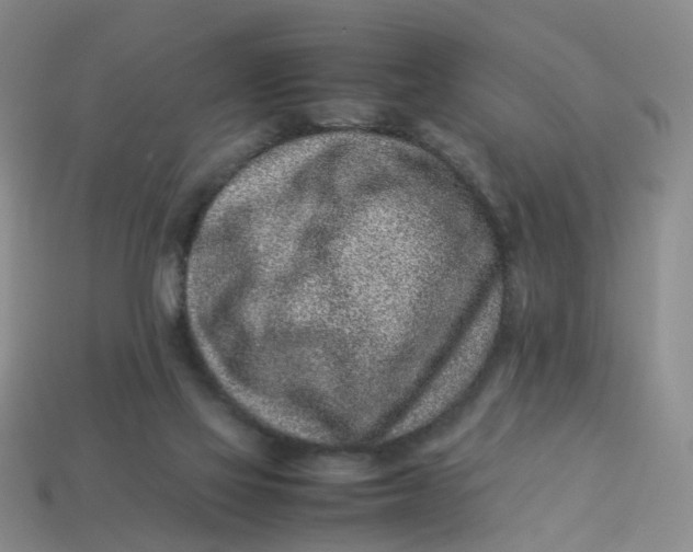 X0000113330069200910051155