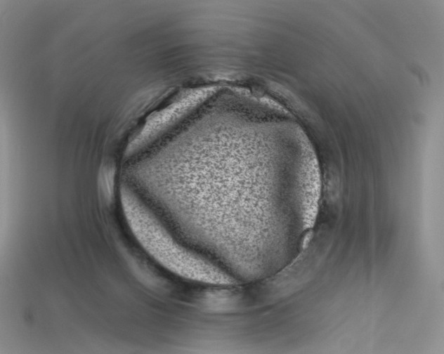 X0000113330070200910051155