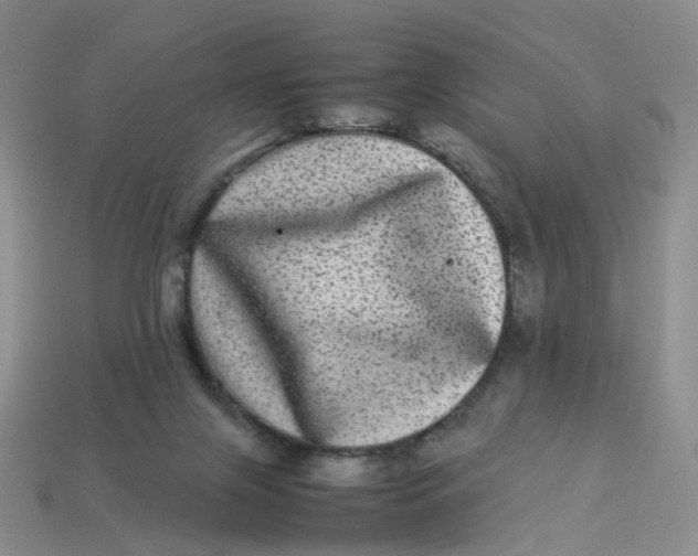 X0000113330071200910051155