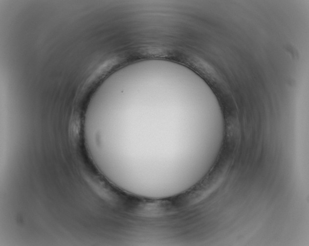 X0000113330072200910051155