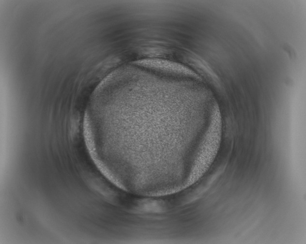 X0000113330073200910051155