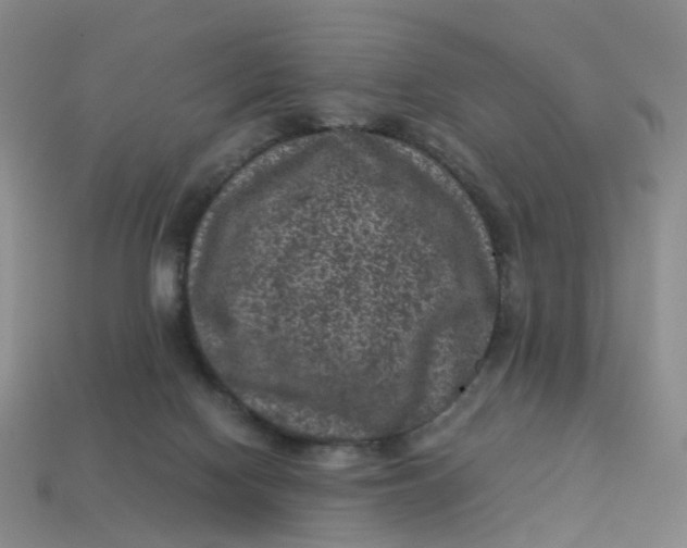 X0000113330074200910051155