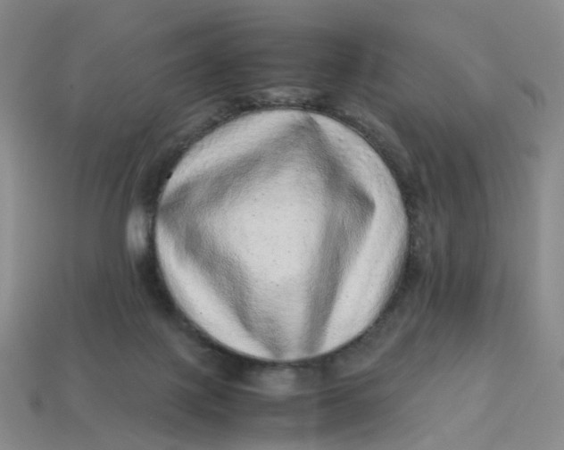X0000113330075200910051155