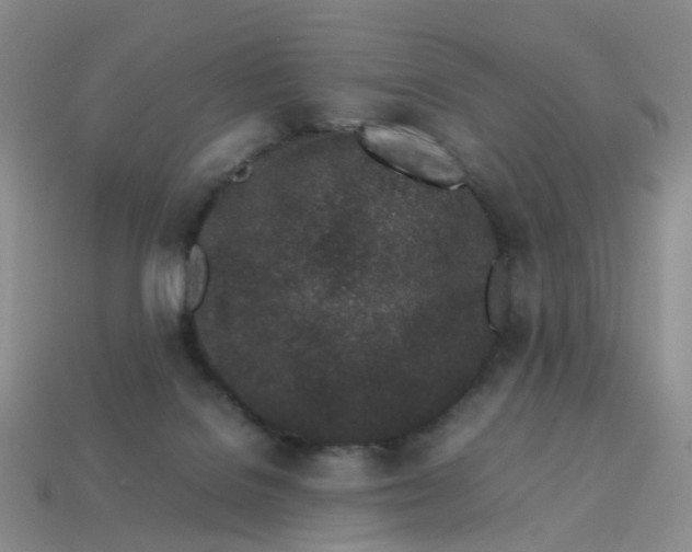 X0000113330076200910051155