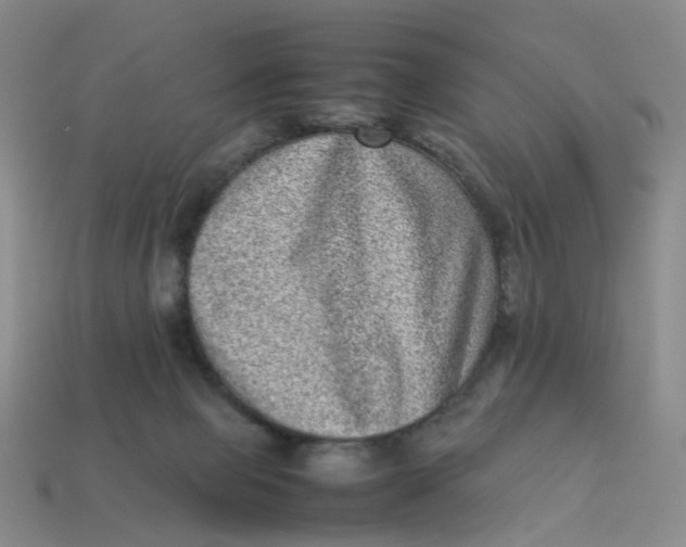 X0000113330077200910051155