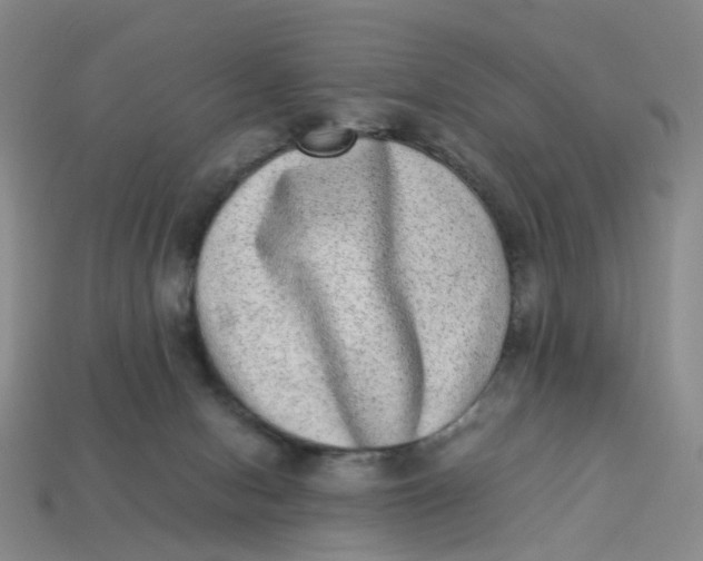 X0000113330078200910051155