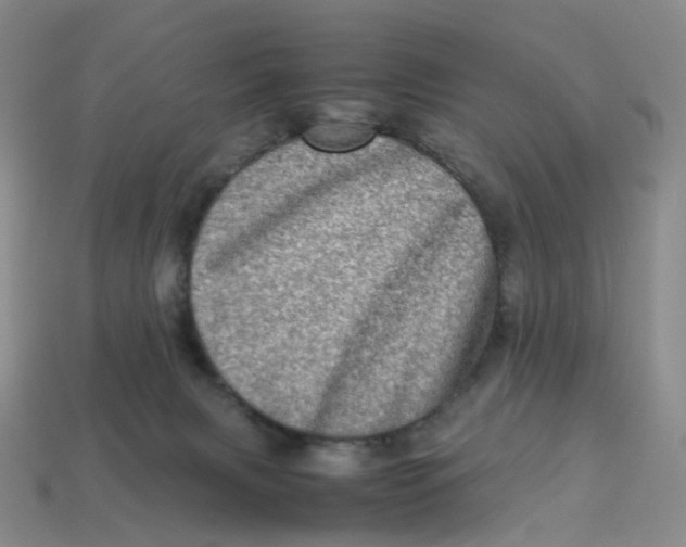 X0000113330079200910051155