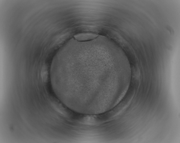 X0000113330080200910051155