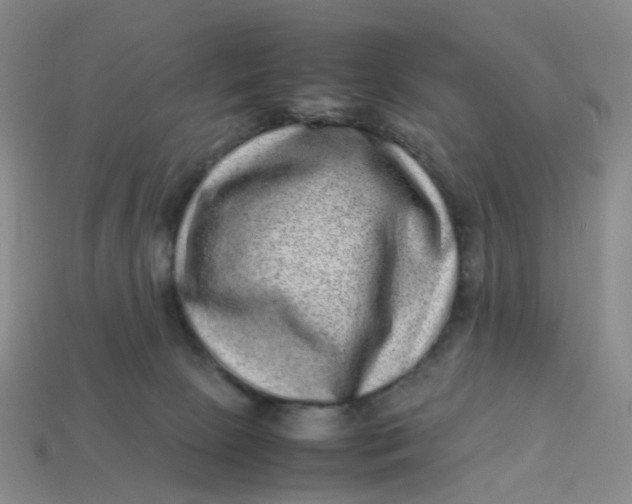 X0000113330081200910051155