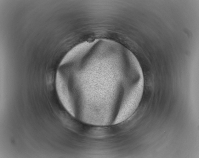 X0000113330082200910051155